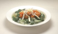 珊瑚蚌泡菜苗